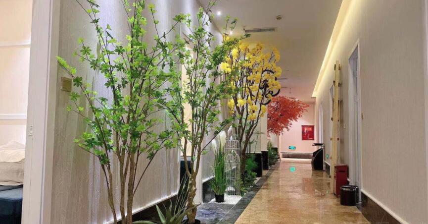 金牛区洗浴SPA印象足迹影院式SPA