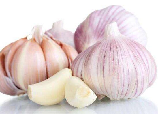 成都男士养生吃什么对身体好