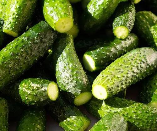 黄瓜有美容的功能，可以坚持每天都吃